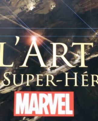 L’Art Ludique des Super Héros IMG 20140817 105617