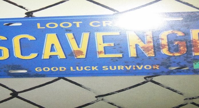 Unboxing Loot Crate SCAVENGE. DSCN2360 2