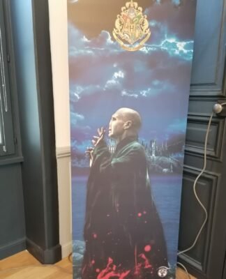 De la Magie à Lamorlaye Exposition Harry Potter