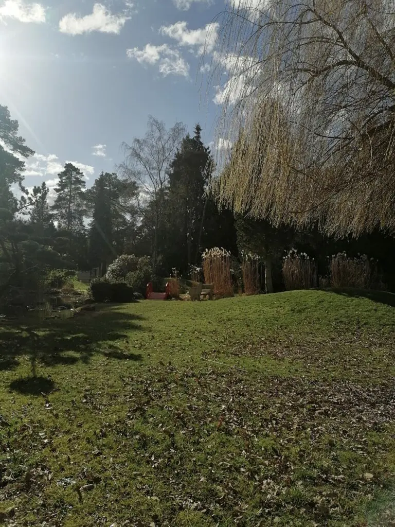 IMG 20230226 151645 1