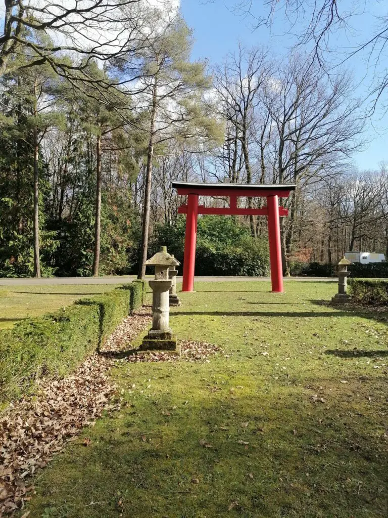 IMG 20230226 151721 1