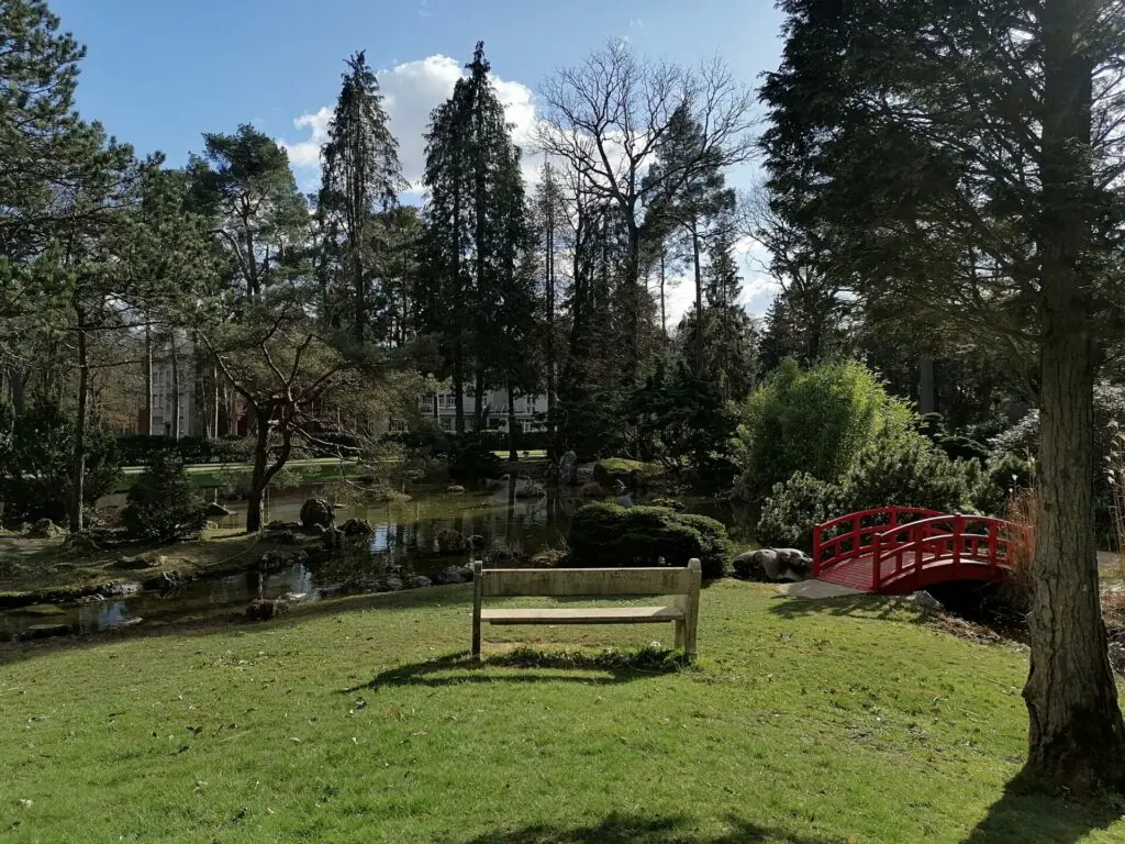 IMG 20230226 151746 1