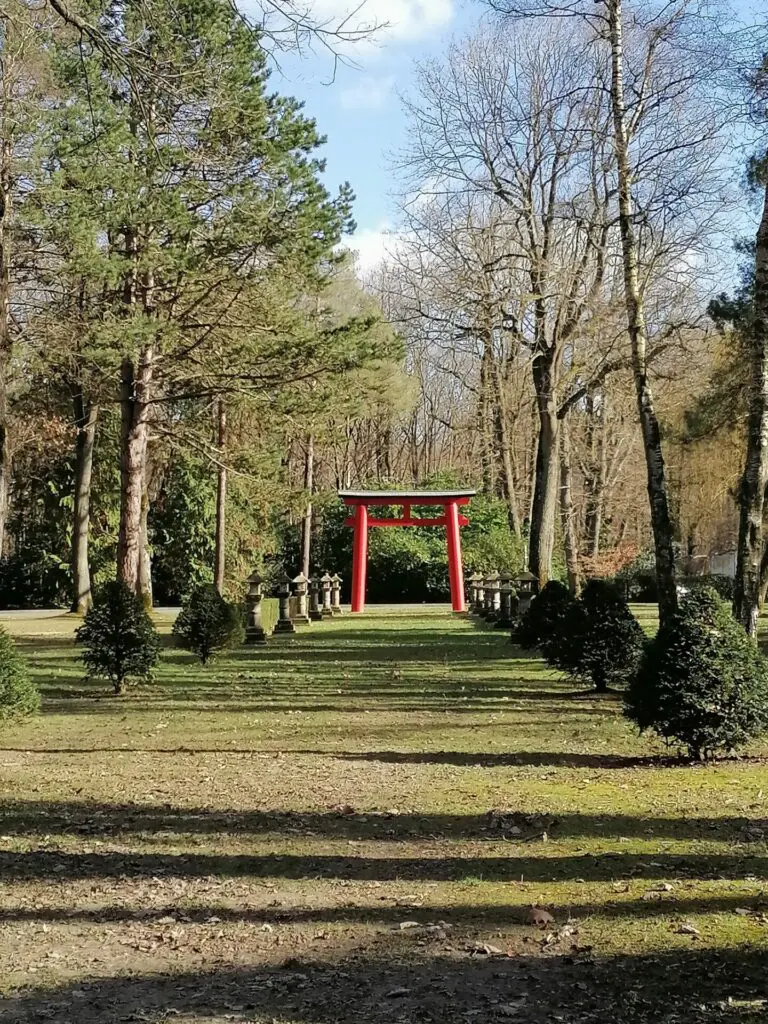 IMG 20230226 153445