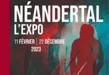 Néandertal l’Expo Néandertal l'Exposition