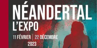 Néandertal l'Exposition